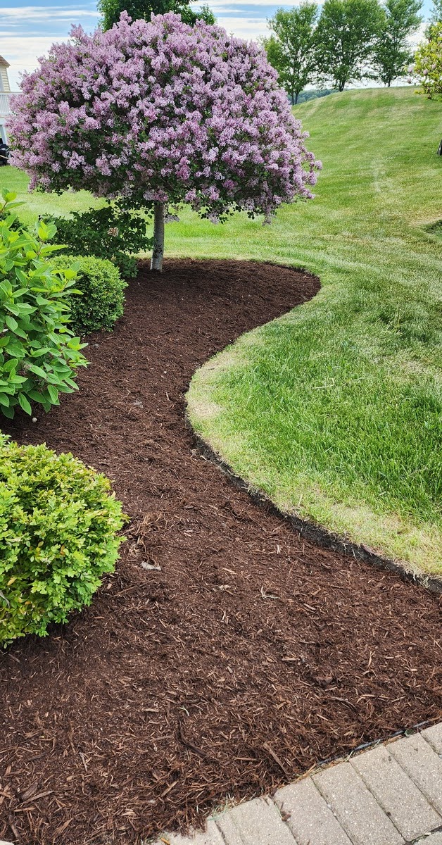 Beautifully manicured lawn with fresh mulch beds in Racine & Kenosha / SE Wisconsin